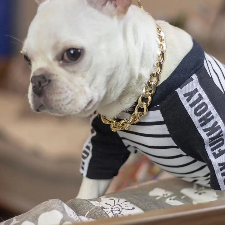 Powerful gold dog collar: understated, stately, made for real bonds