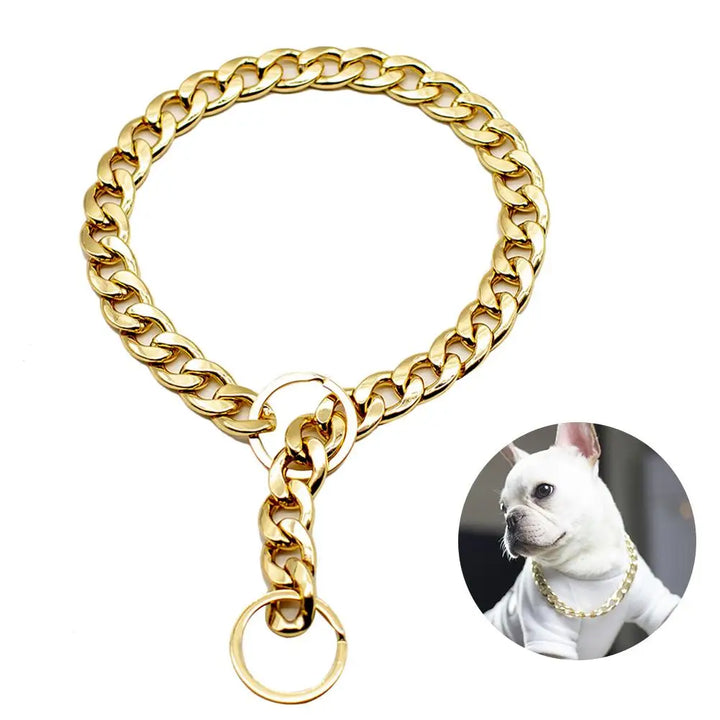 Powerful gold dog collar: understated, stately, made for real bonds