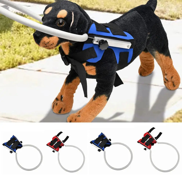 Harness for blind dogs: see without seeing, move forward without fear