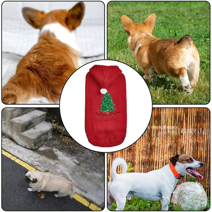 Dog Christmas sweater with matching hat for a magical moment