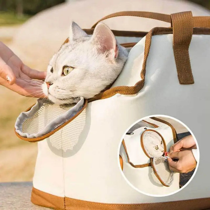 Cabin-sized cat and dog carrier for stylish and tender outings