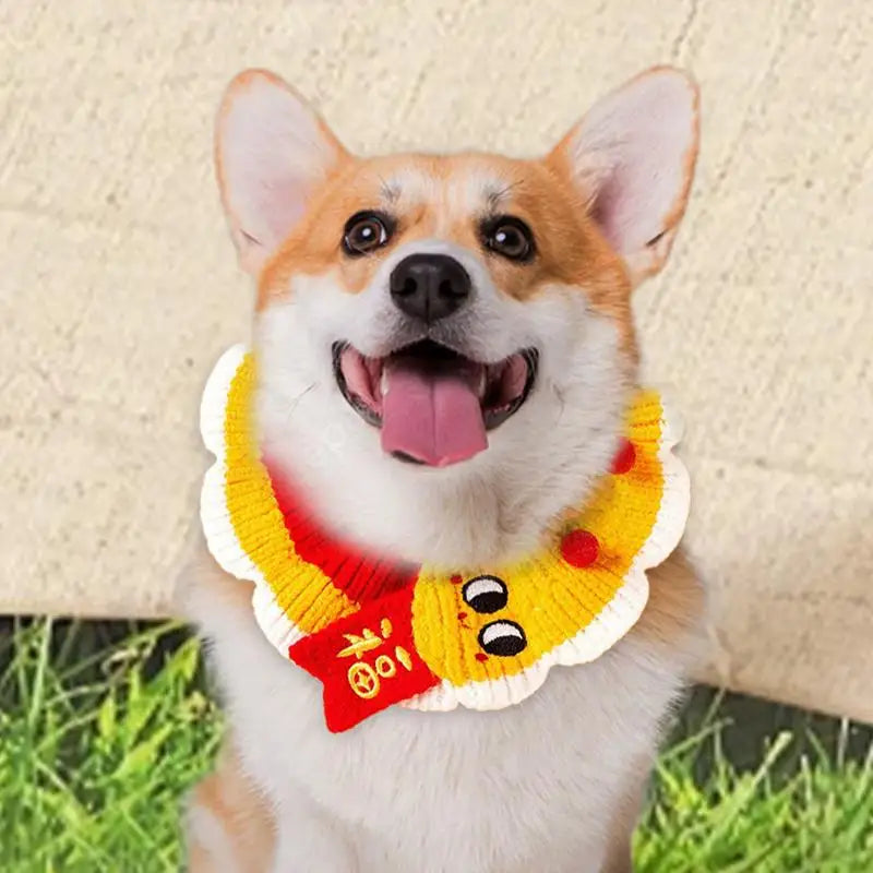Knitted dog and cat collar: a soft and friendly accessory to wear proudly