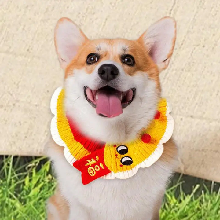 Knitted dog and cat collar: a soft and friendly accessory to wear proudly
