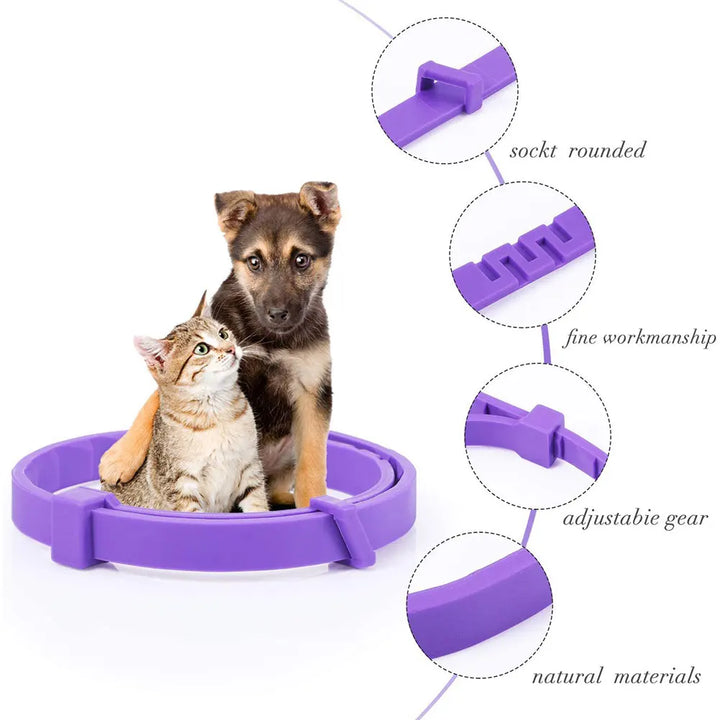 Calming collar for dogs and cats: calm returns without a word