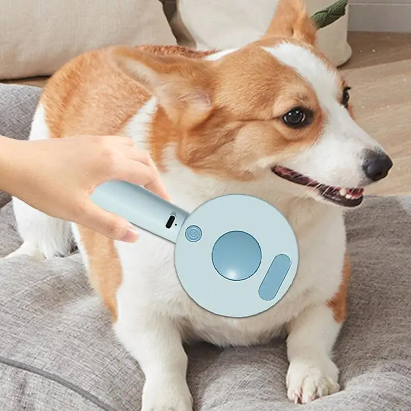 Steam brush for dogs and cats: the art of grooming turned into tenderness