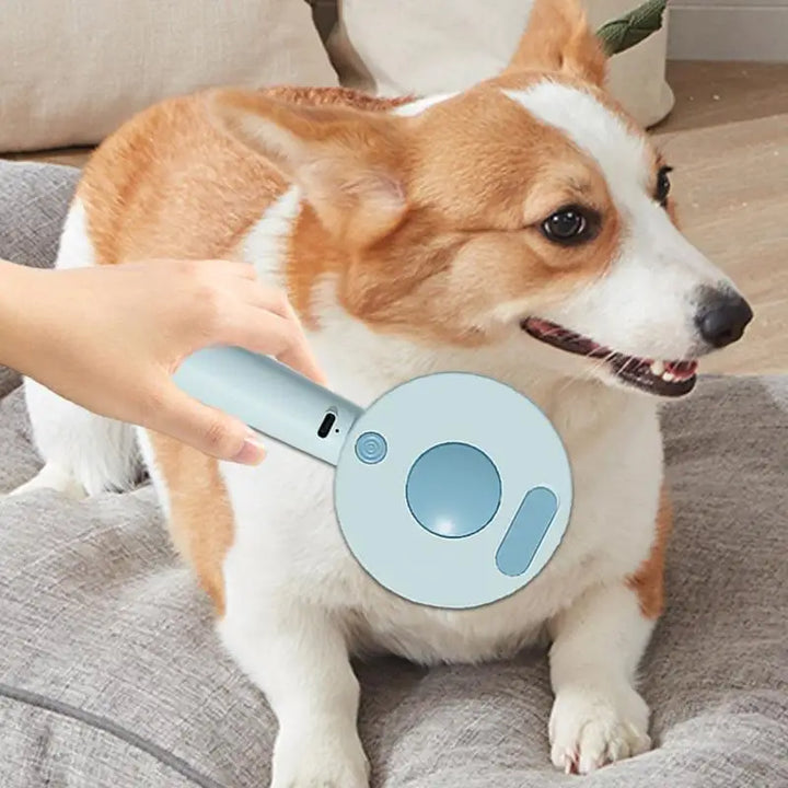 Steam brush for dogs and cats: the art of grooming turned into tenderness