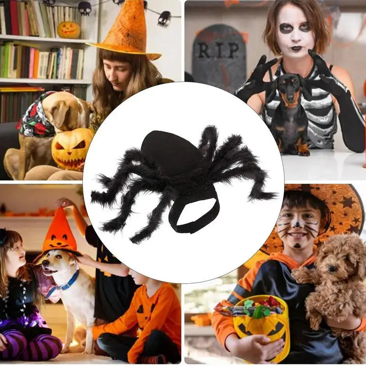 Spider Halloween Costume – For Cat, Puppy or Small Dog