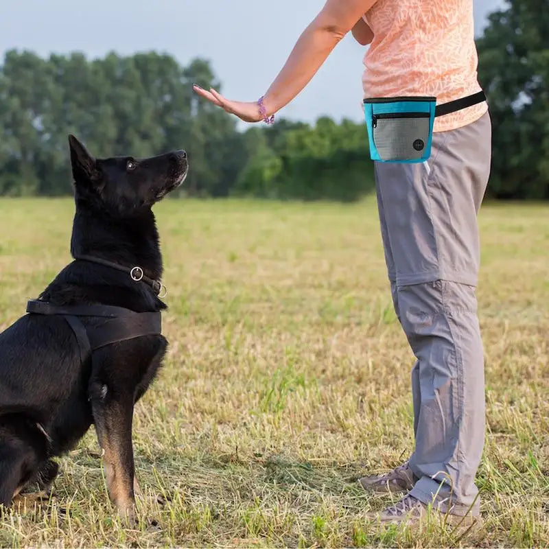 Dog Treat Bag: Train Better, React Fast