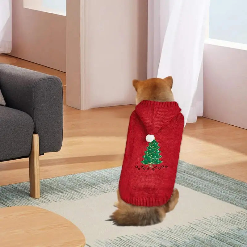 Dog Christmas sweater with matching hat for a magical moment