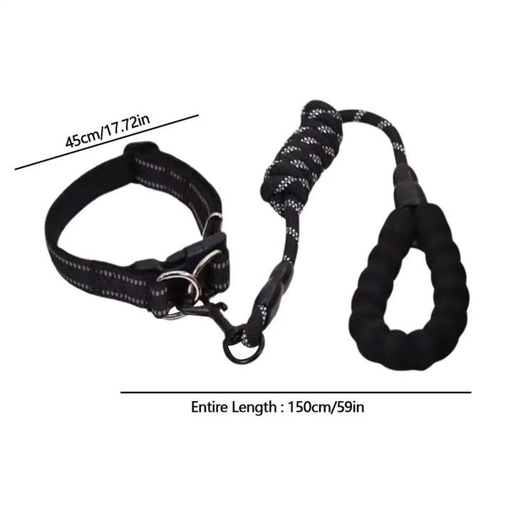 Reflective dog collar – For walks even in the shade
