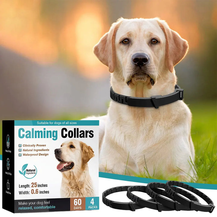 Calming collar for dogs and cats: calm returns without a word