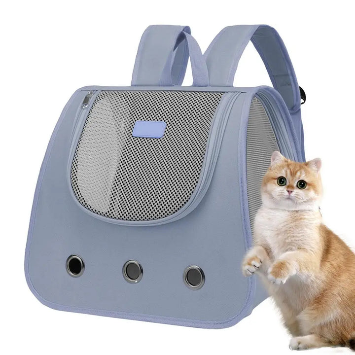 Dog and cat carrier bag: freedom and tenderness on walks