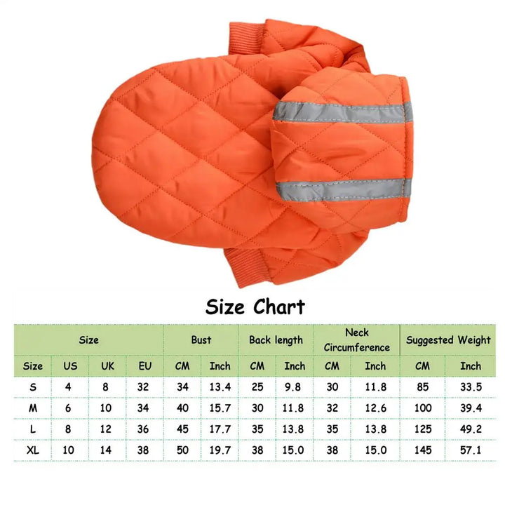 Warm coat with reflective stripes for brave dogs