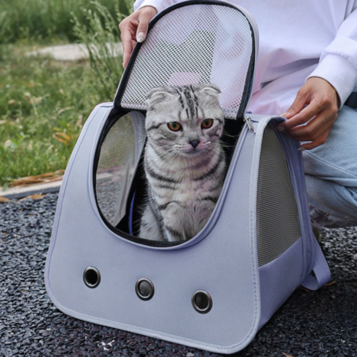 Dog and cat carrier bag: freedom and tenderness on walks