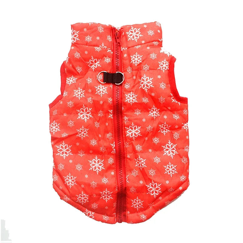 Winter coat for small dogs – Christmas special, warm and practical