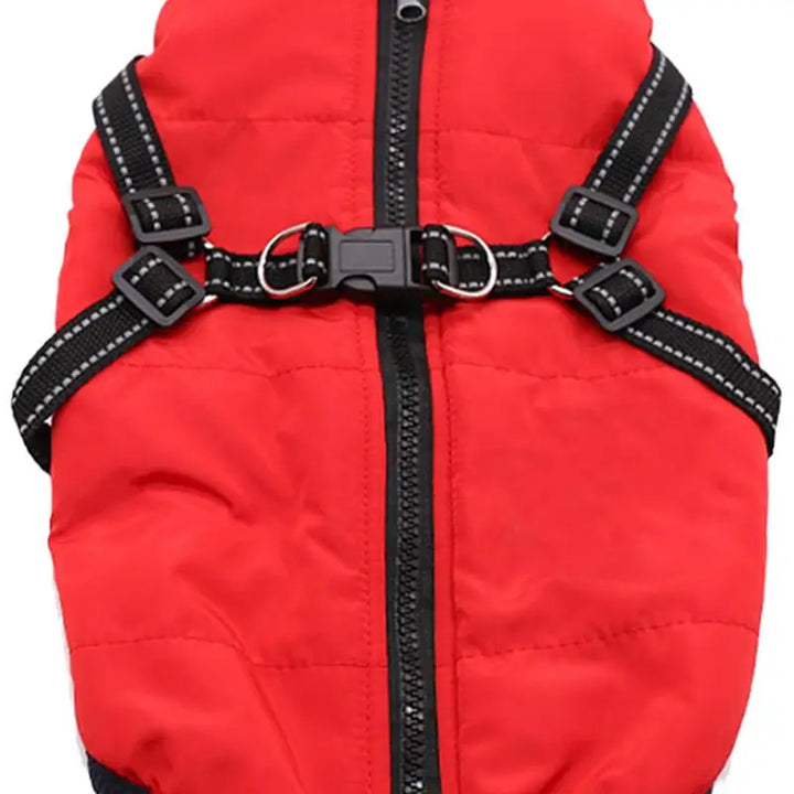 Warm coat with integrated harness – Peaceful winter for your dog