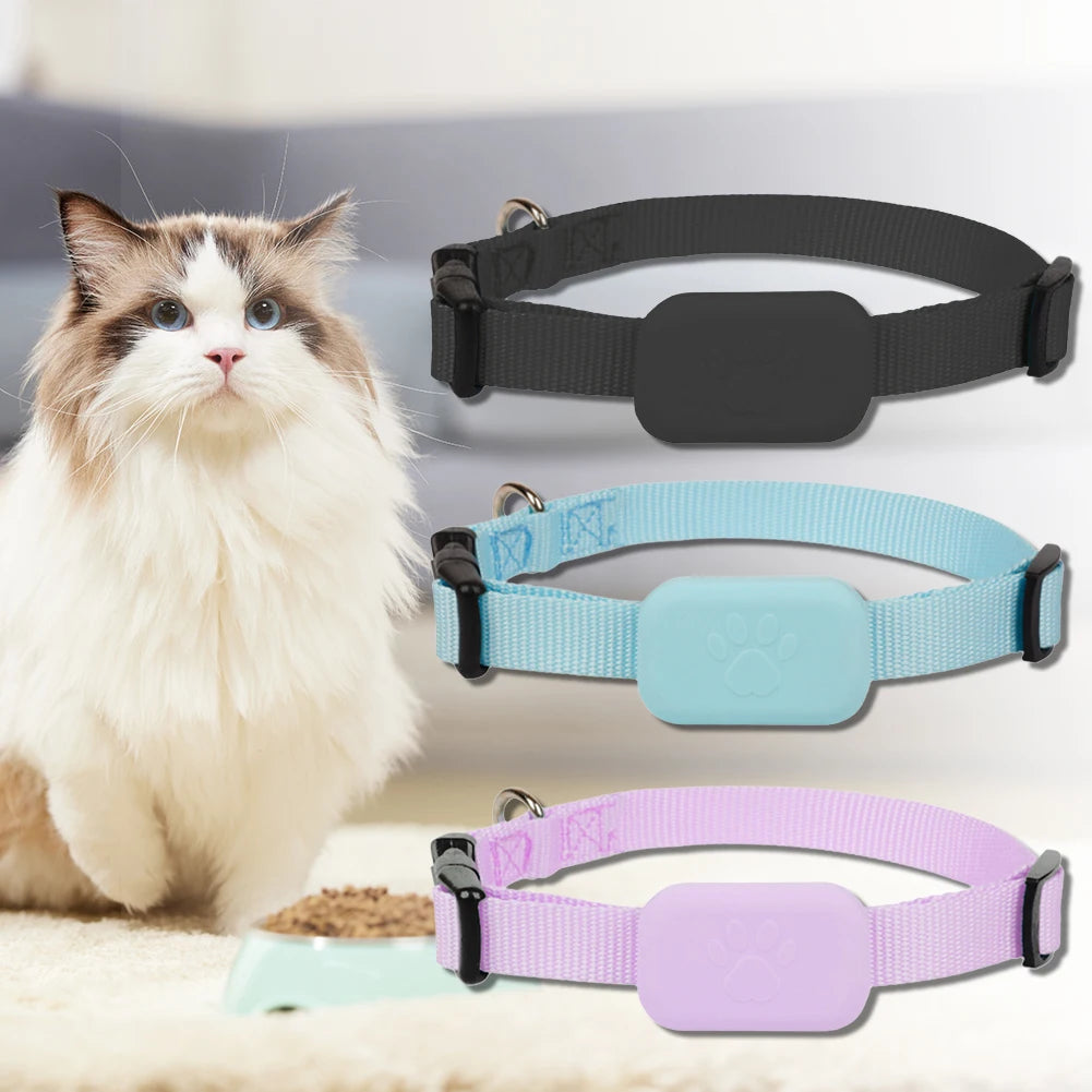 GPS collar for dogs and cats: visible, localizable, and always findable