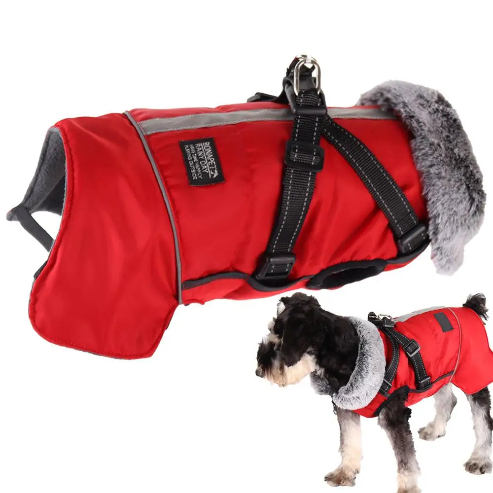 Triple-layer coat with integrated harness and warm collar