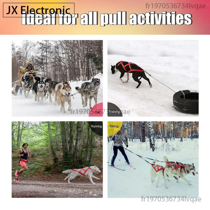 Free and powerful athletic dog pull harness