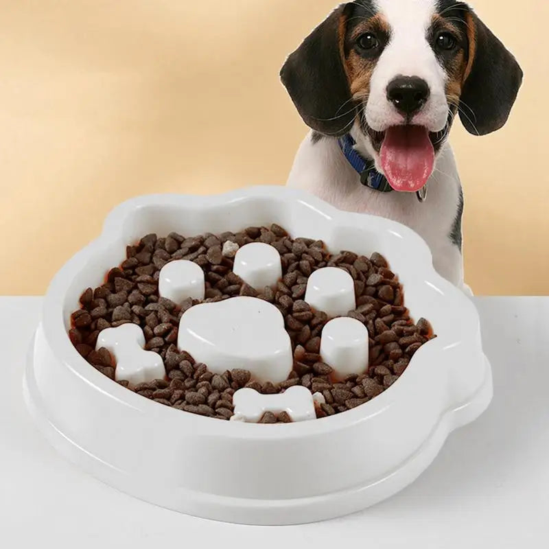 Anti-Gluttony Dog Bowl – Eats Better, Digests Better