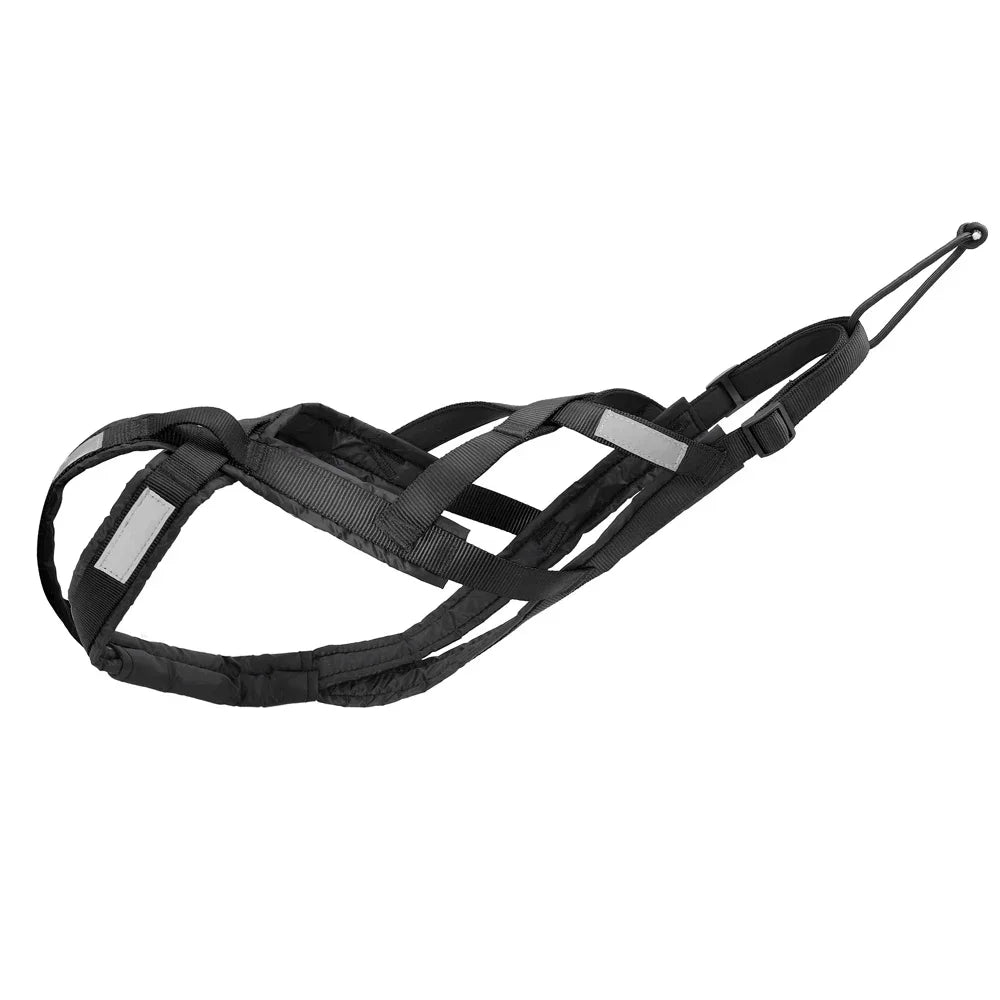 Free and powerful athletic dog pull harness