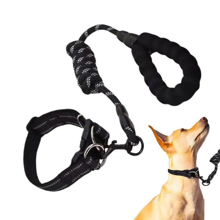 Reflective dog collar – For walks even in the shade