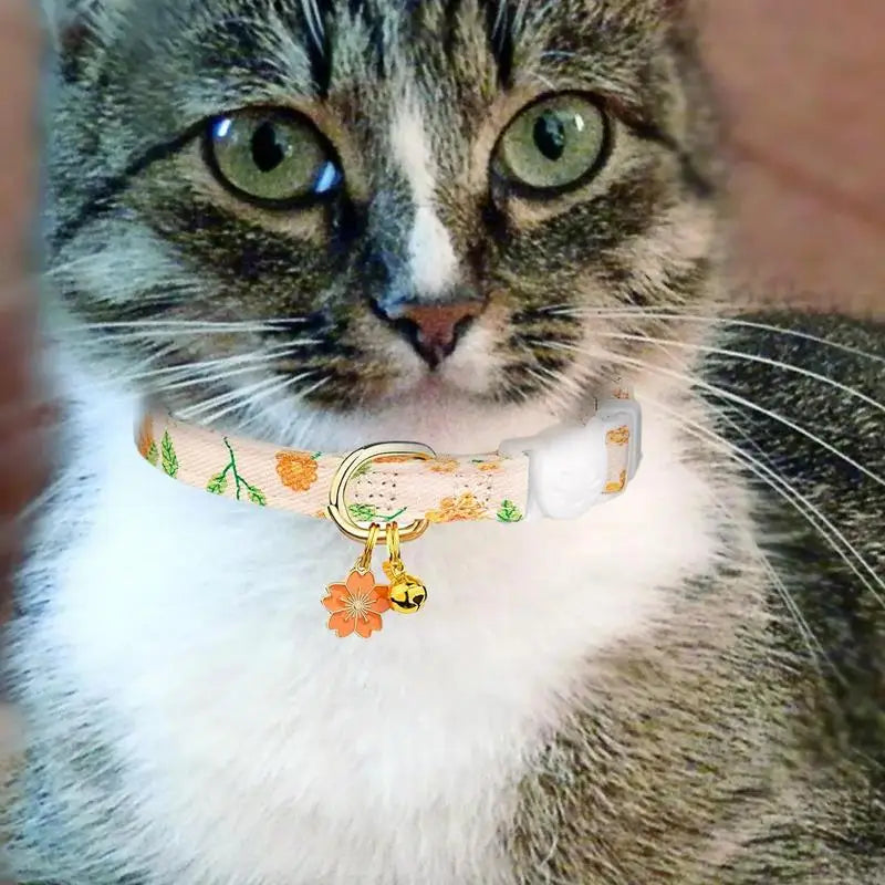 Floral collar for cats and small dogs: tender, safe, and designed as a gesture of love