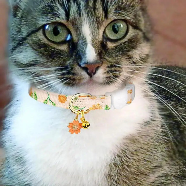 Floral collar for cats and small dogs: tender, safe, and designed as a gesture of love
