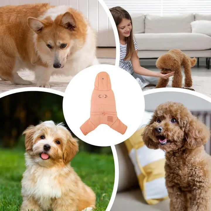Stylish and protected waterproof hooded dog coat