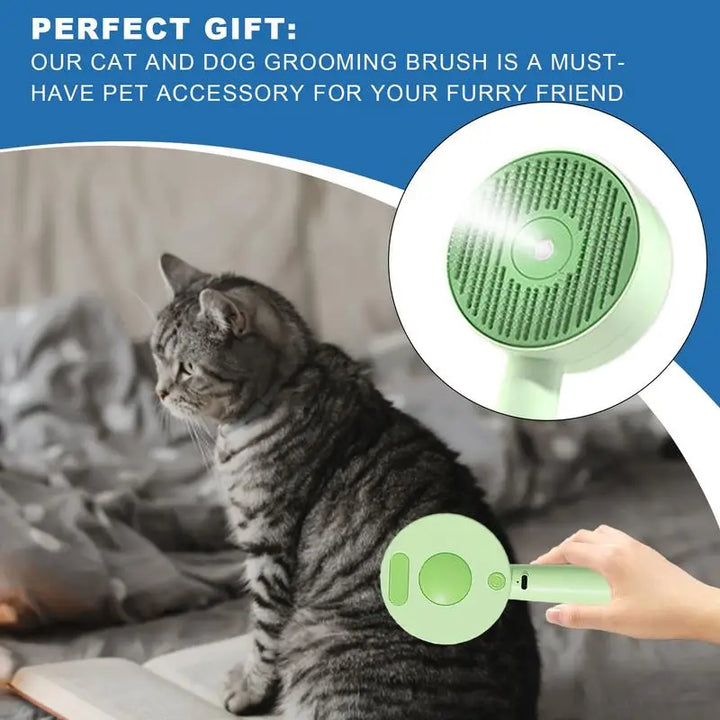 Steam brush for dogs and cats: the art of grooming turned into tenderness