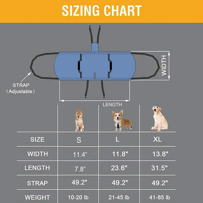 Dog Support Harness: Walking Again, Together