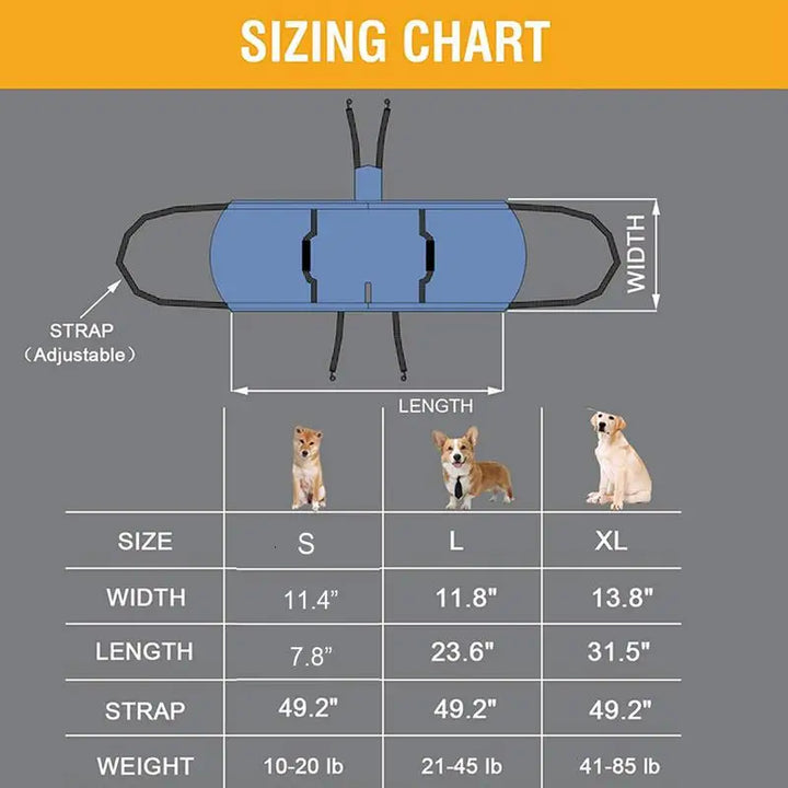 Dog Support Harness: Walking Again, Together