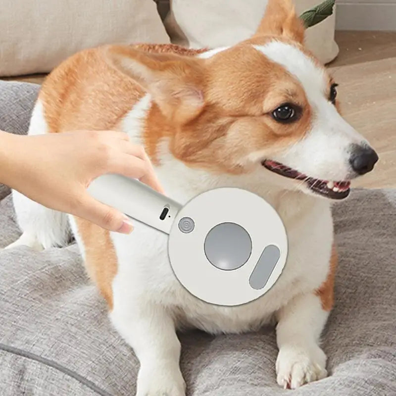 Steam brush for dogs and cats: the art of grooming turned into tenderness