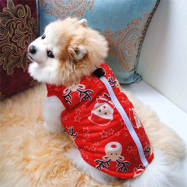 Winter coat for small dogs – Christmas special, warm and practical