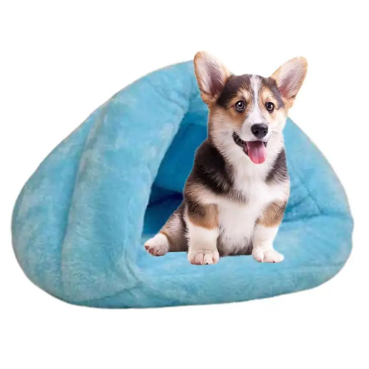 Heated cat house – Its cold-proof cocoon, right next to your love
