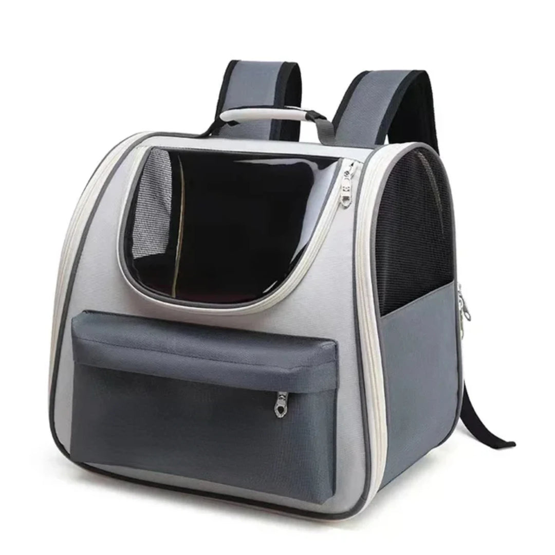 Cat &amp; small dog carrier bag: airplane, comfort, freedom