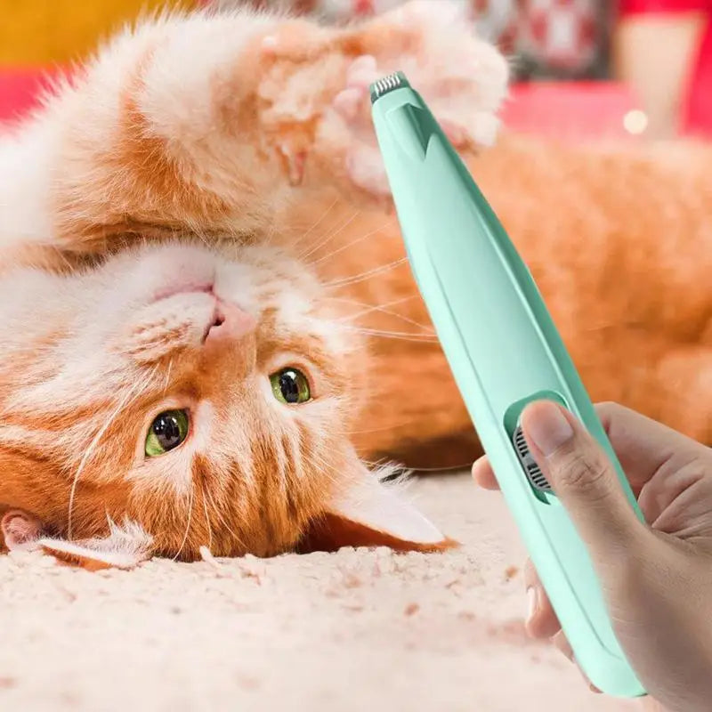 Paw clippers for dogs and cats: gentle, precise, stress-free