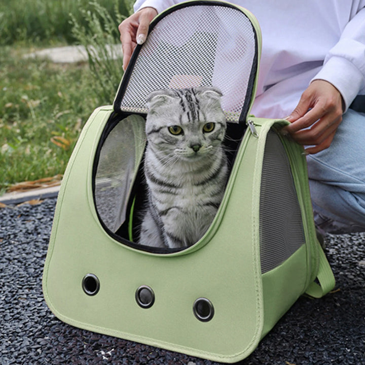 Dog and cat carrier bag: freedom and tenderness on walks