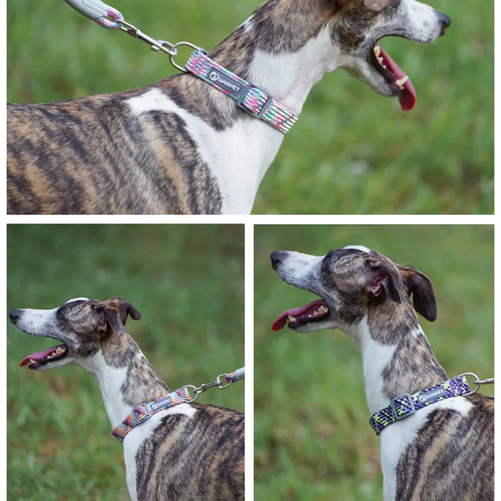 Reflective dog &amp; cat collar: visible at night, discreet in everyday life