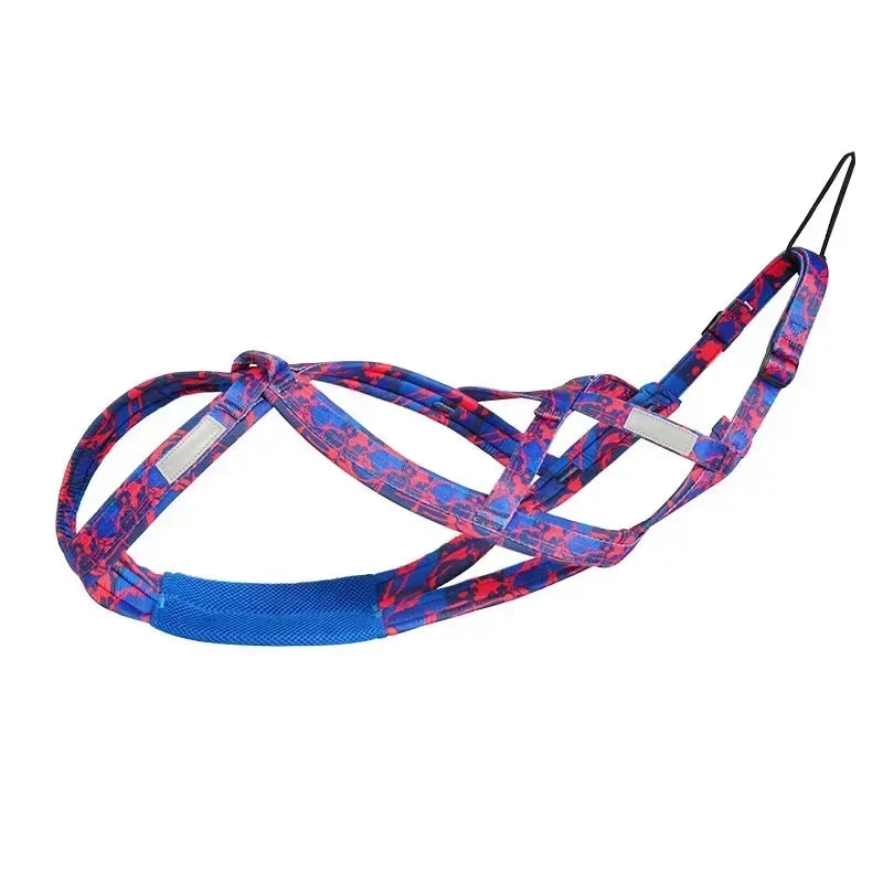 Free and powerful athletic dog pull harness