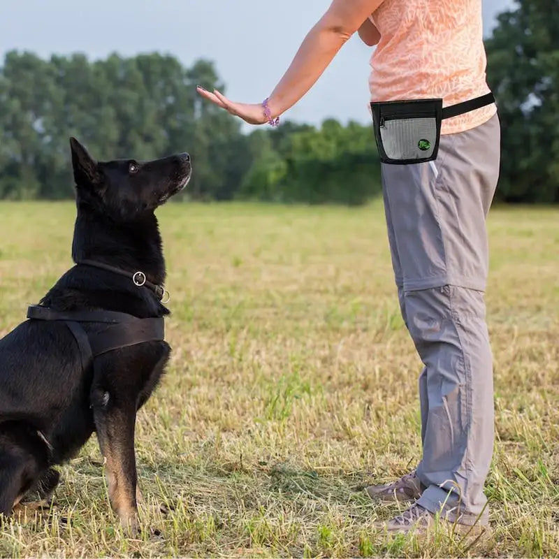 Dog Treat Bag: Train Better, React Fast