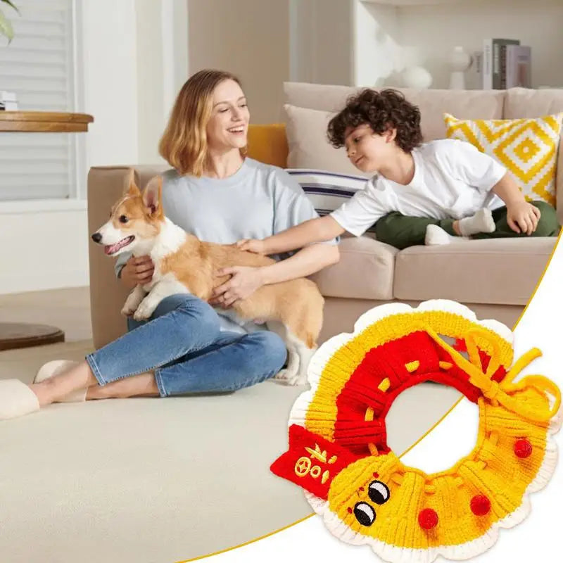 Knitted dog and cat collar: a soft and friendly accessory to wear proudly