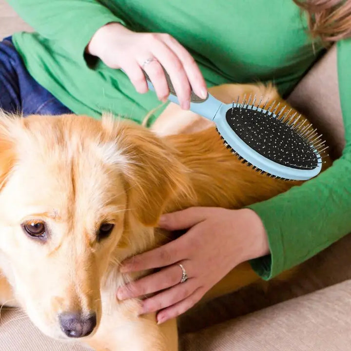 Dog and cat grooming brush: softness, complicity and no tangles