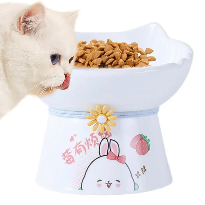 Raised Cat Bowl – Pain-Free Eating Every Day
