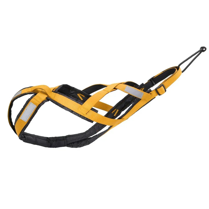 Free and powerful athletic dog pull harness