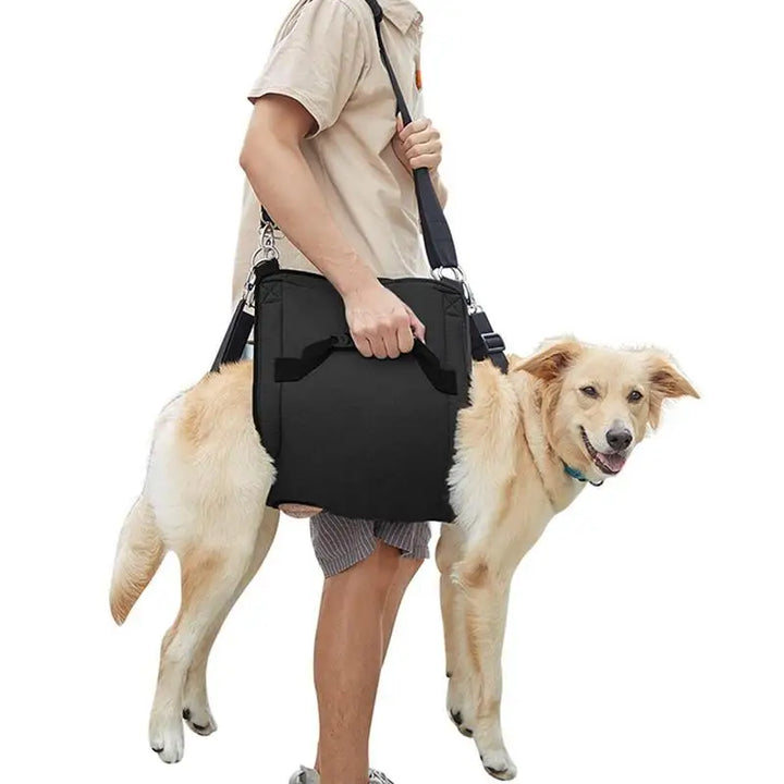 Dog Support Harness: Walking Again, Together