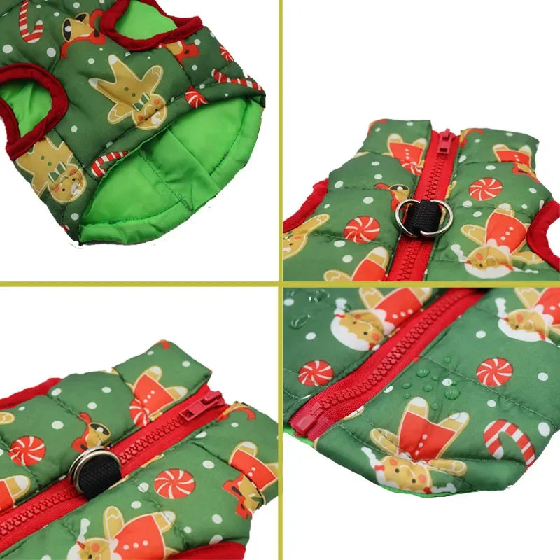 Winter coat for small dogs – Christmas special, warm and practical