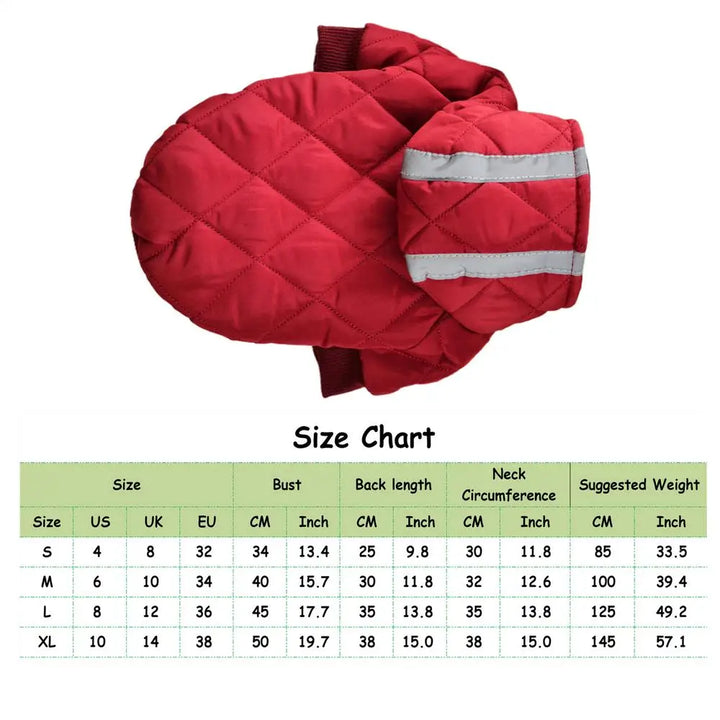 Warm coat with reflective stripes for brave dogs