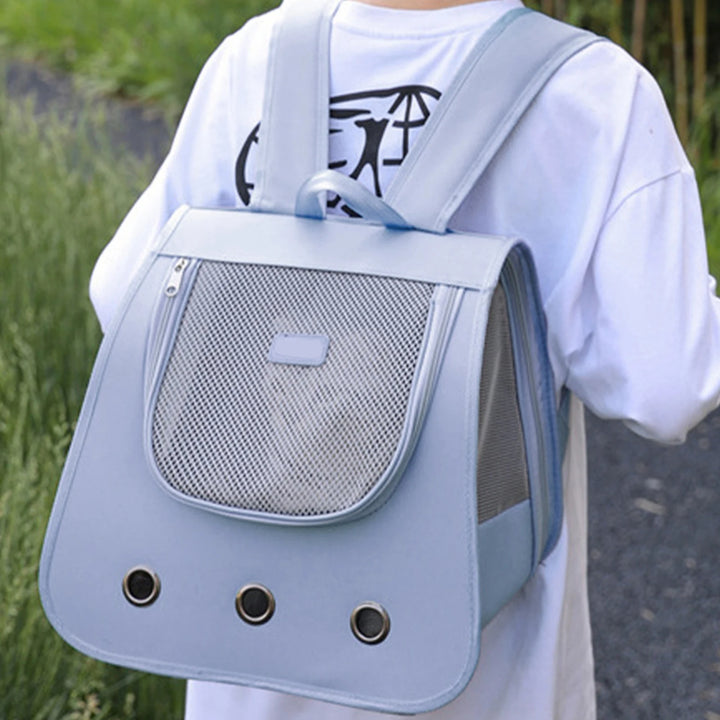 Dog and cat carrier bag: freedom and tenderness on walks