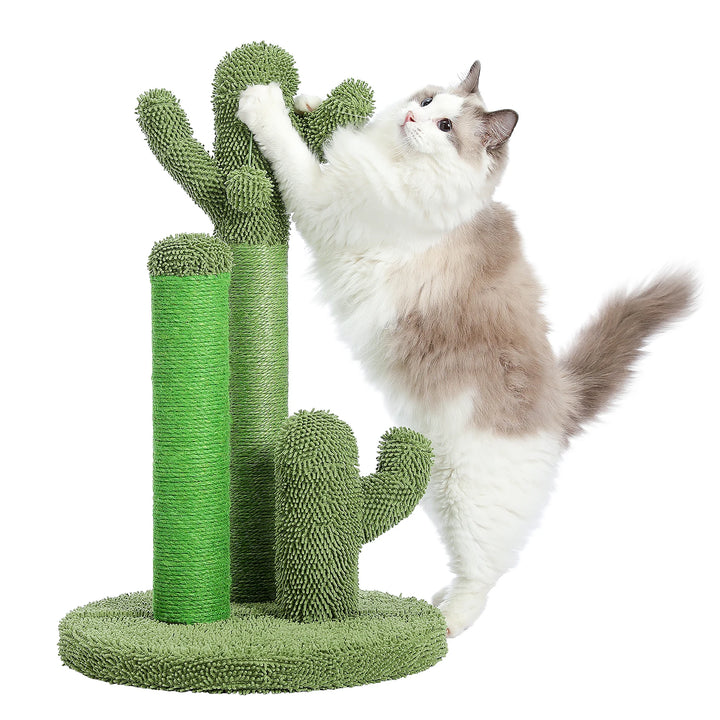 Cactus cat scratcher that channels instinct with style